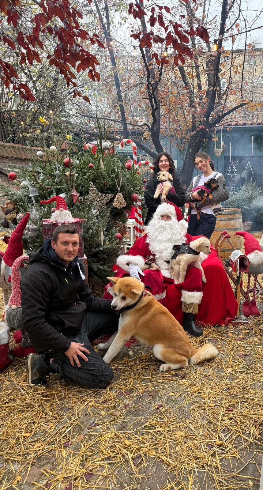 Топли почетак децембра Топли почетак децембра