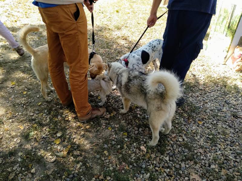 „PET-FRENDLI SRBIJA“ „PET-FRENDLI SRBIJA“