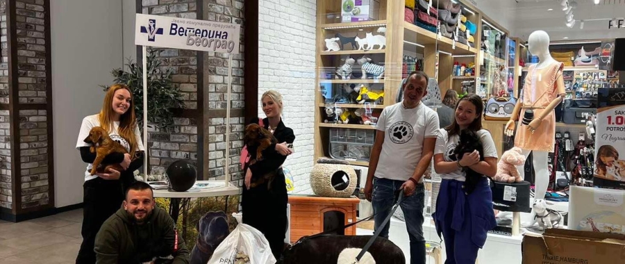 Удомљавање паса и мачака Удомљавање паса и мачака