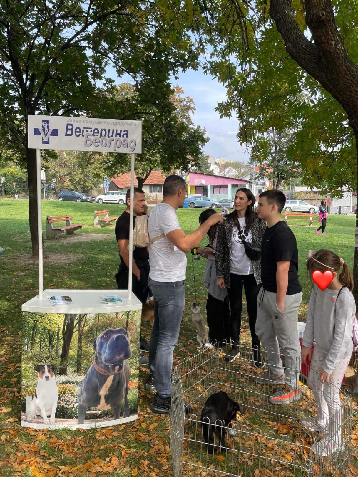 Изложба власничких паса Изложба власничких паса