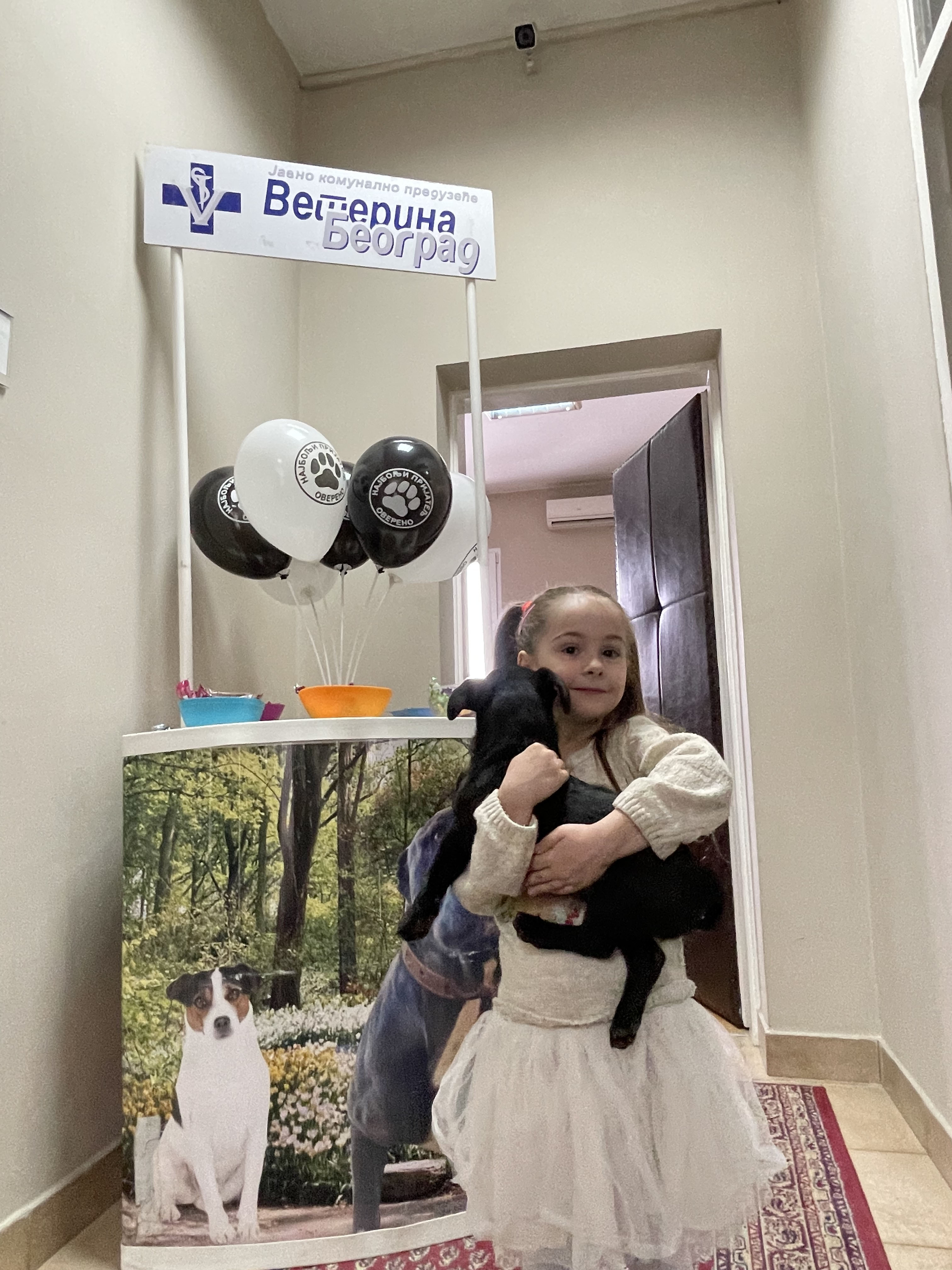 Светски дан напуштених животиња Светски дан напуштених животиња
