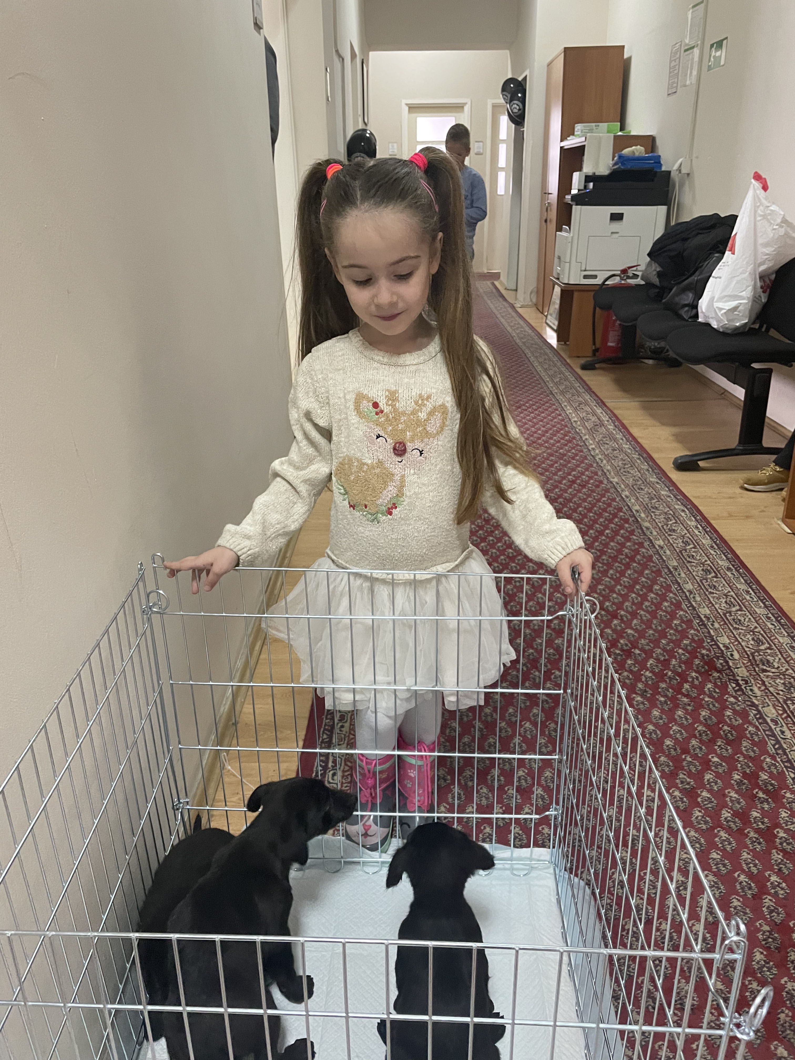 Светски дан напуштених животиња Светски дан напуштених животиња