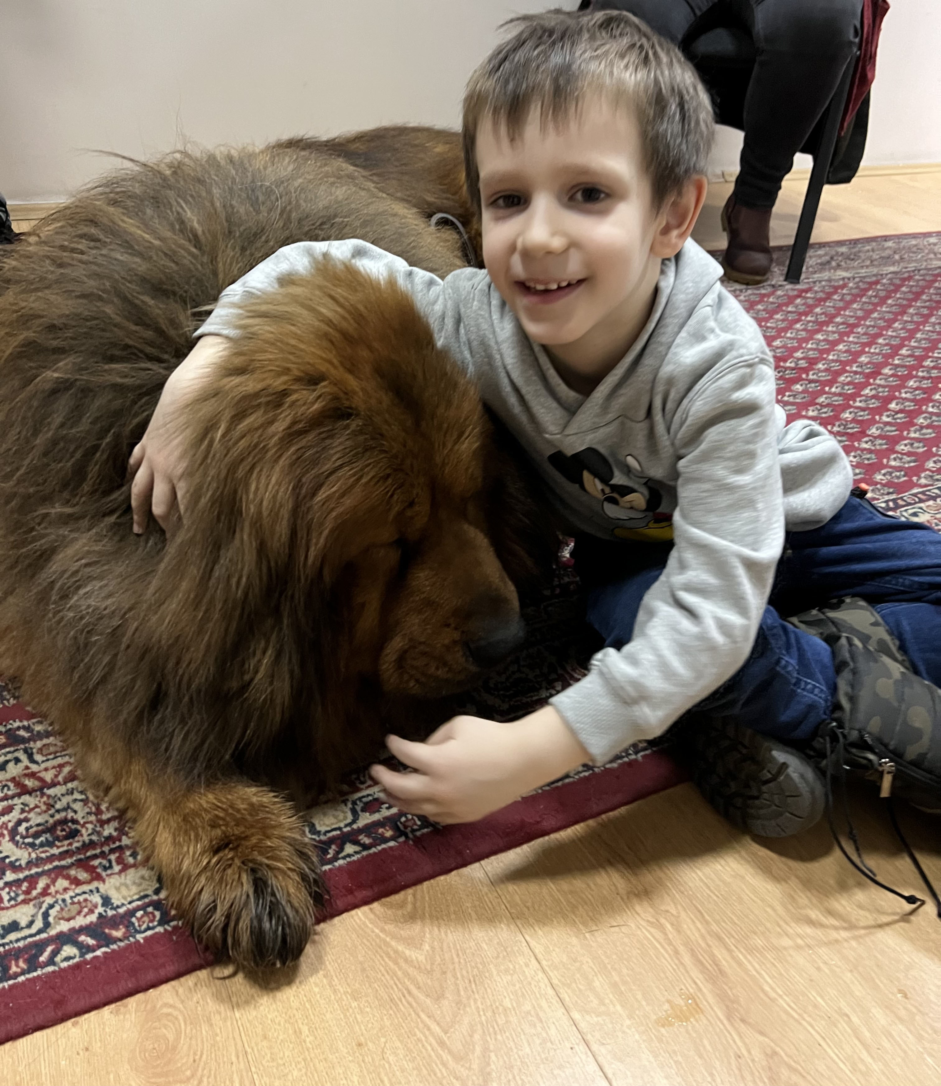 Светски дан напуштених животиња Светски дан напуштених животиња