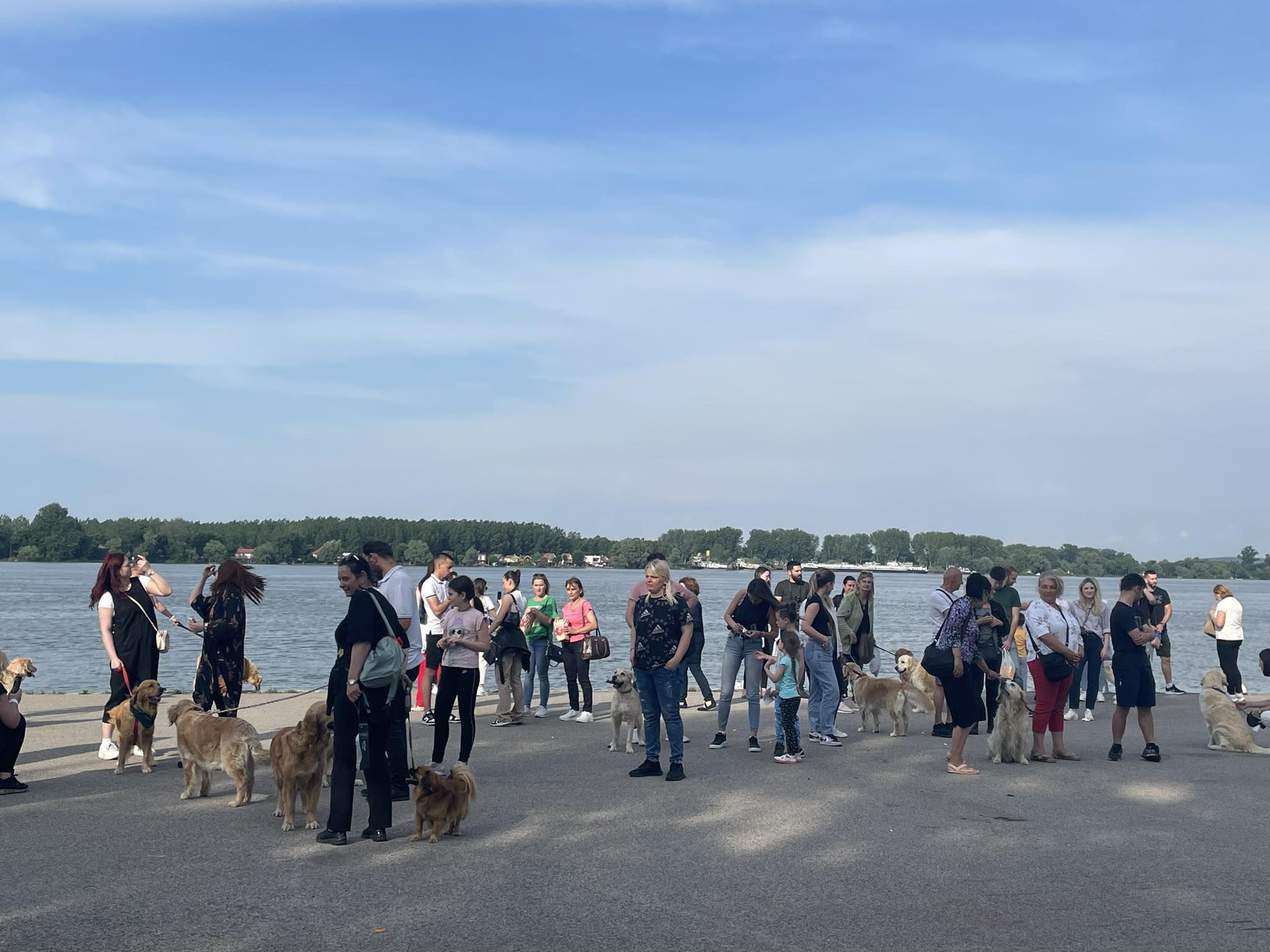 Журка ретривера Журка ретривера