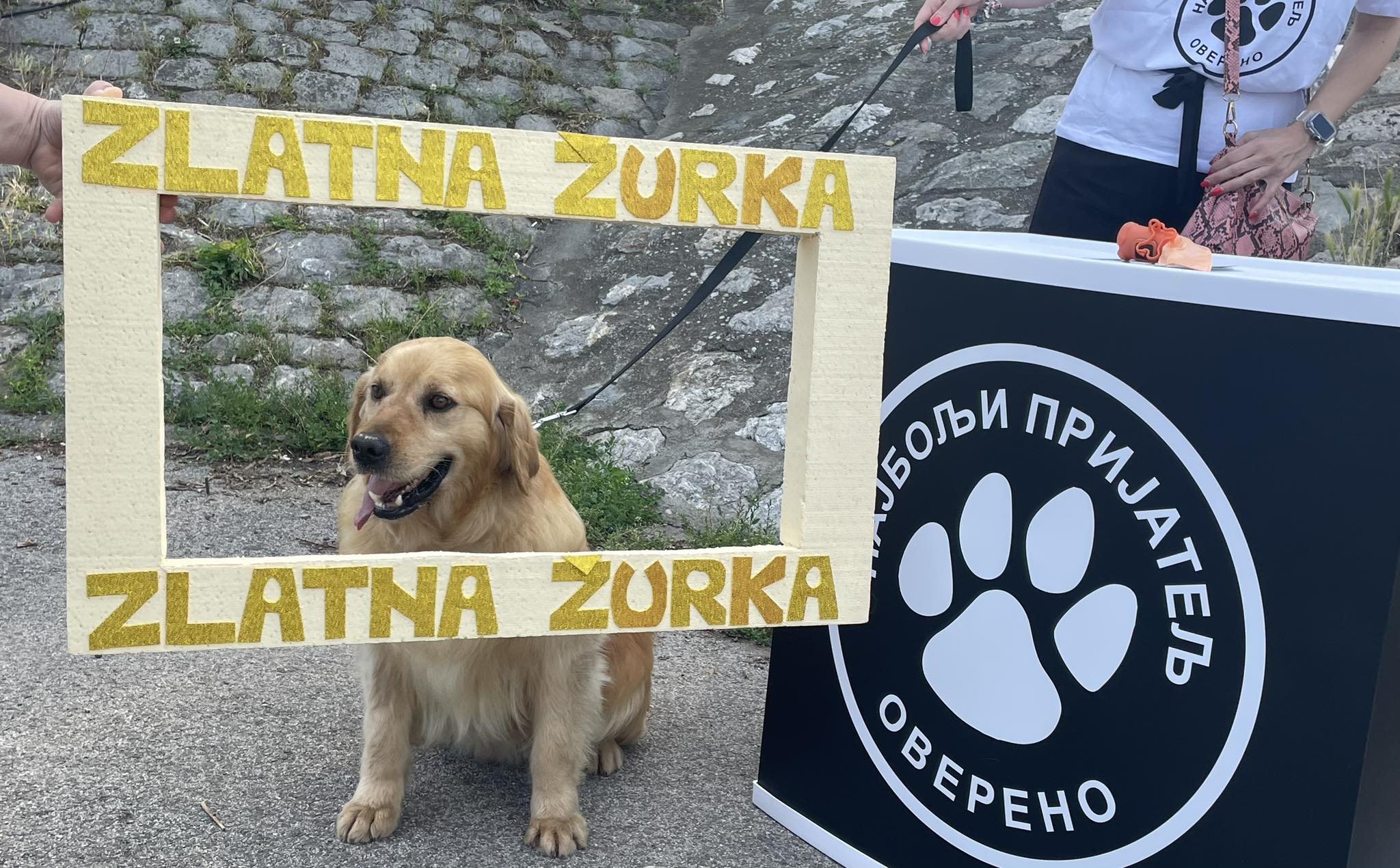 Журка ретривера Журка ретривера