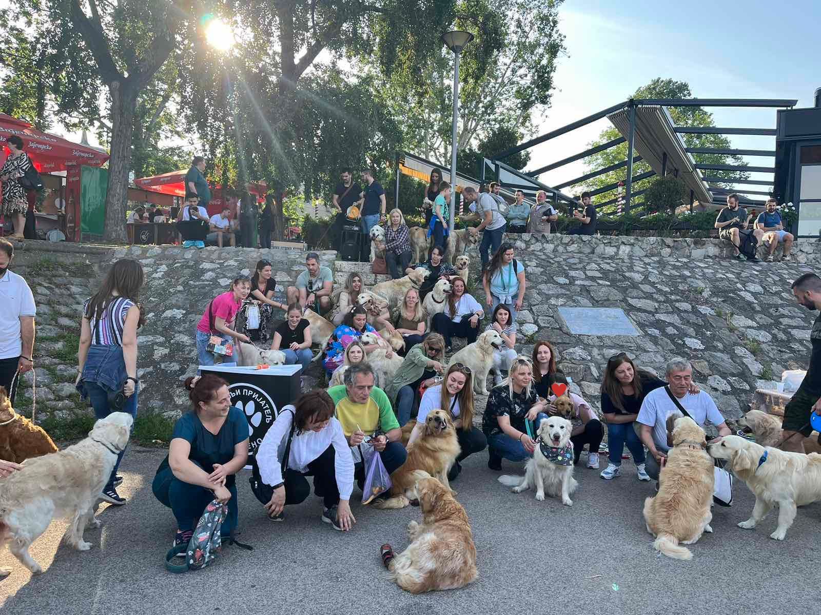 Журка ретривера Журка ретривера