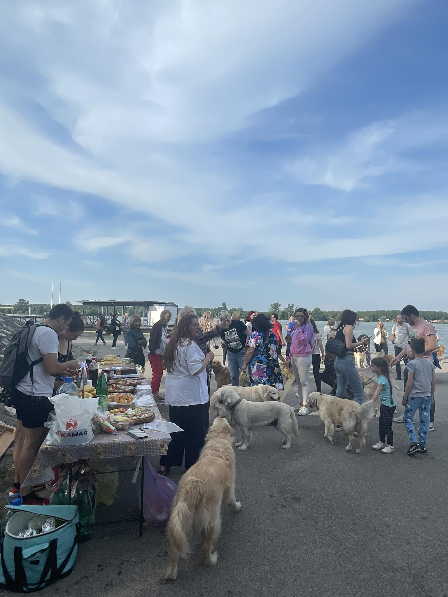 Журка ретривера Журка ретривера