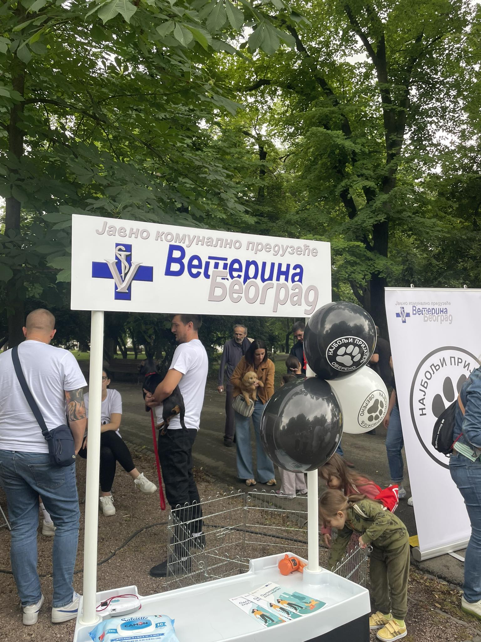 ,,Улични Пси“ – фестивал паса свих раса ,,Улични Пси“ – фестивал паса свих раса