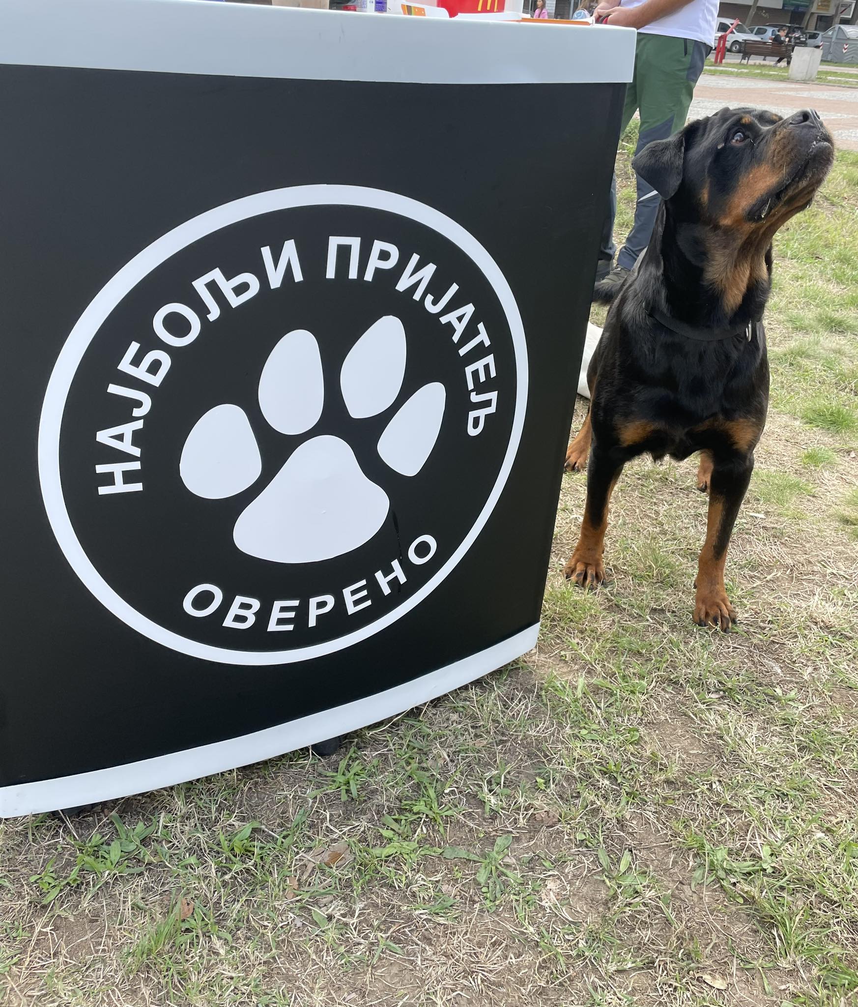 Нај њушка Београда Нај њушка Београда