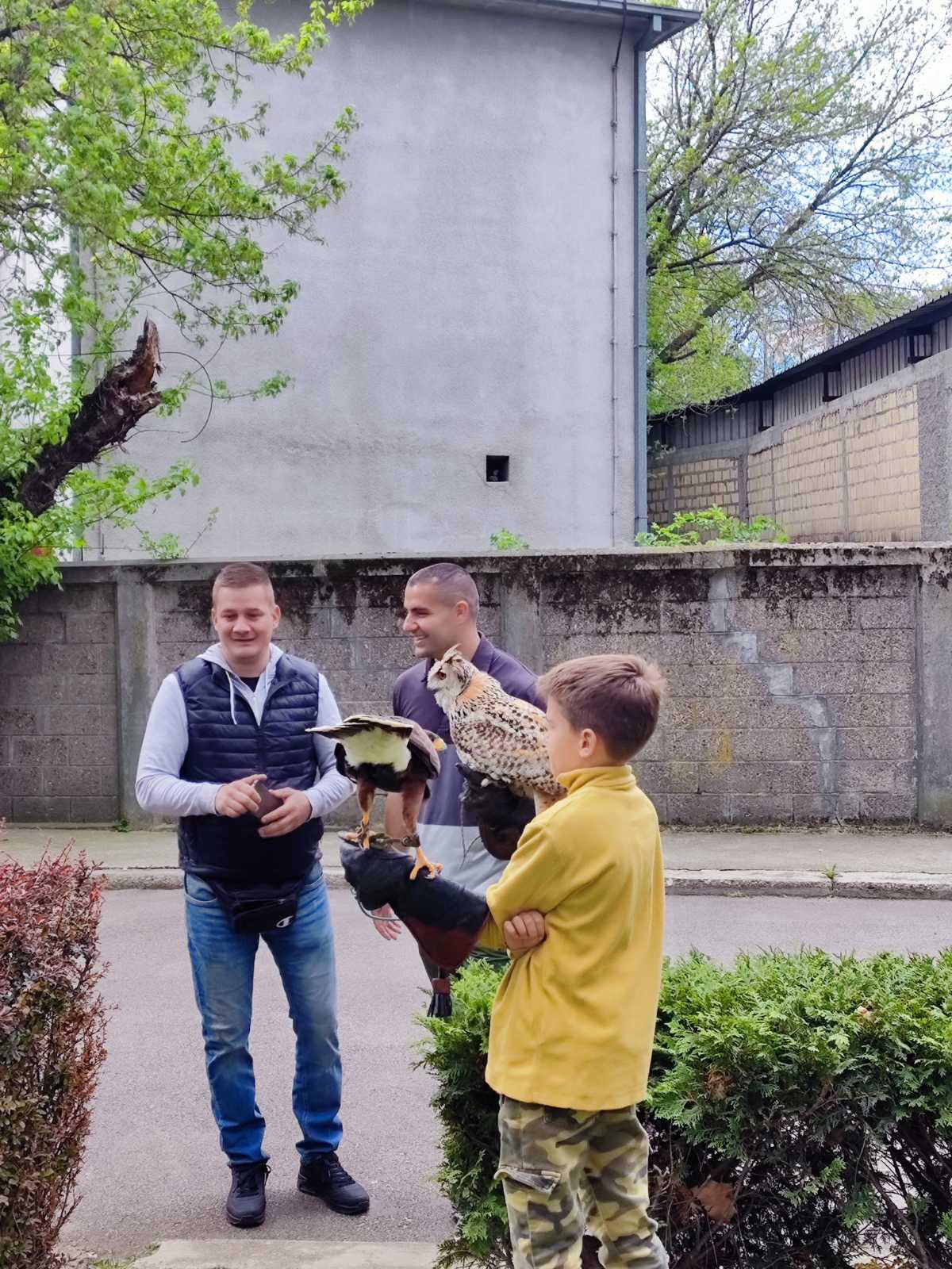 Светски дан напуштених животиња Светски дан напуштених животиња