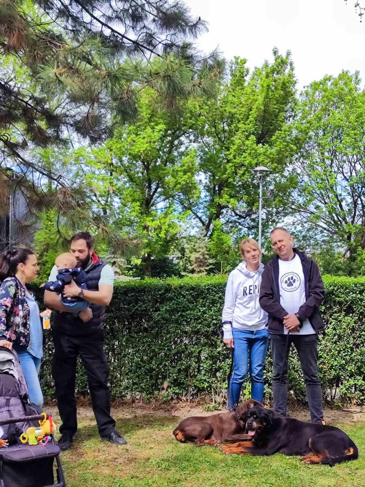 Светски дан напуштених животиња Светски дан напуштених животиња